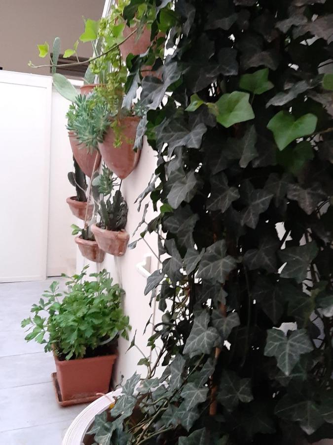 Litium 3 Bed & Breakfast Лече Екстериор снимка